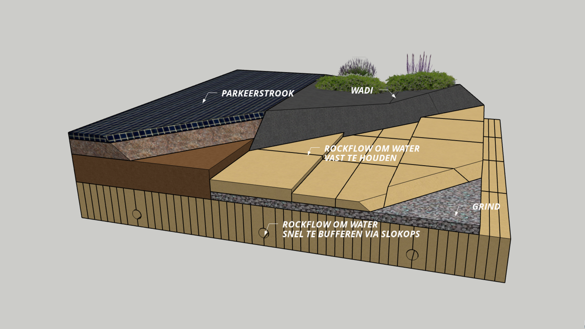 20211215 RW-LF ILLUS 65